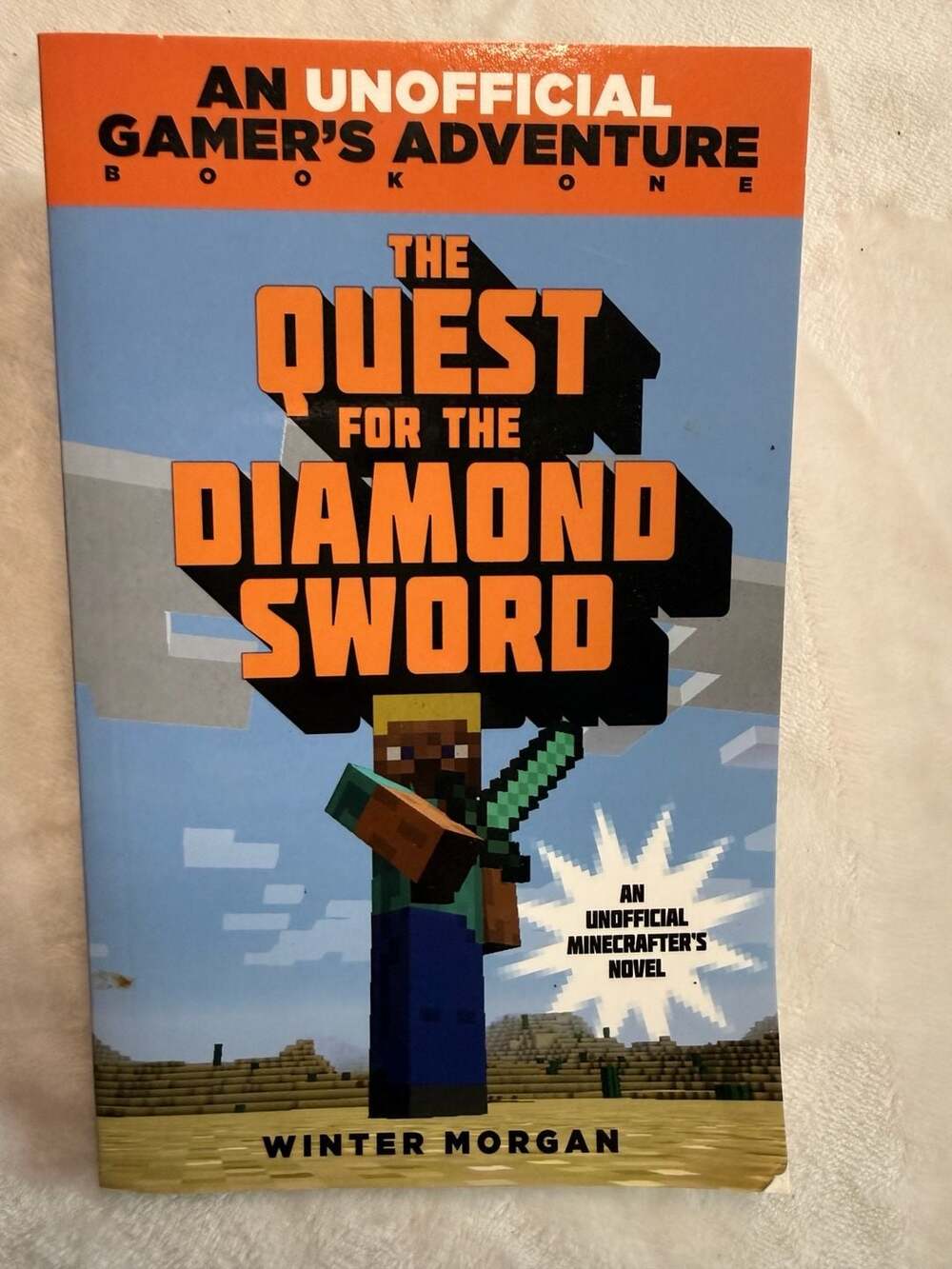 The Quest for the Diamond Sword: An Unofficial Gamer's Adventure, Book One by Wi